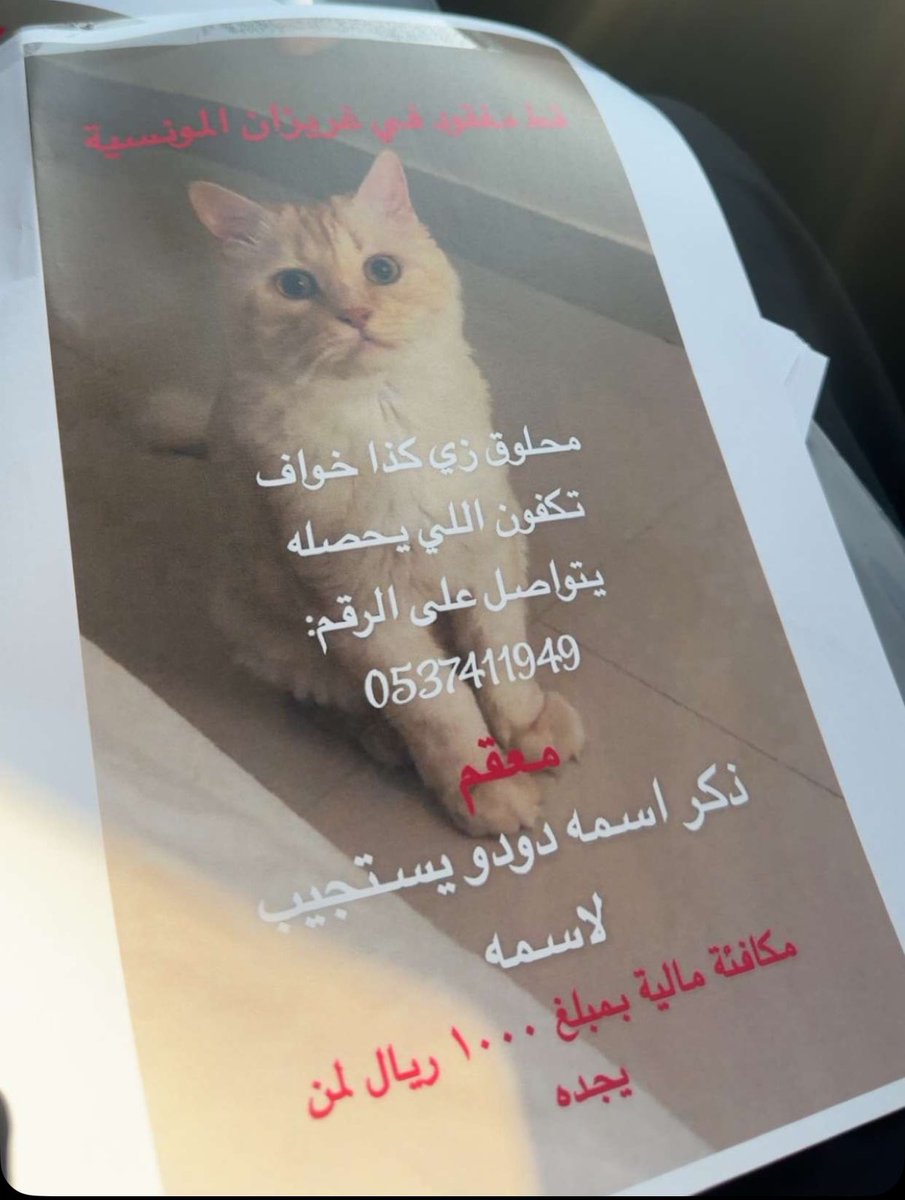 allfahadi's tweet photo. قط مفقود قط ضايع في المونسيه ورا نادي بيور جيم االلي يحصله يتواصل مع الرقم للضروره انشروووه #المونسيه #قط #قط_مفقود 

حي المونسيه مفقود في الحواري ورا بيور جيم https://t.co/bnAriQFz41