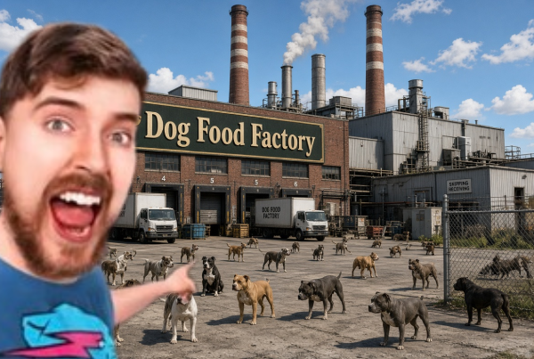 RealDixonUranus's tweet photo. "We built a dog food factory! Now these stray dogs can make their own food!" https://t.co/zsZSA7uk8a