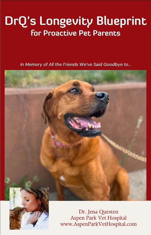 Resqranch's tweet photo. We all just want more time with our pets. That's why DrQ created the free Longevity Blueprint and Animal Life Skill Report Card. Click the link below to get your free copy! 
https://t.co/ZNbK1Zrgzl https://t.co/FJV8kjVP0C