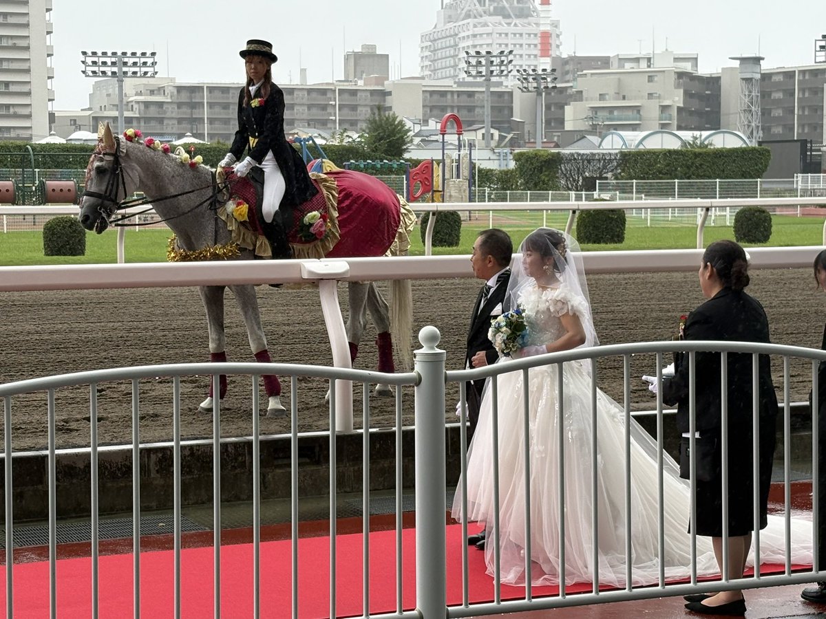 kawasaki_nikko's tweet photo. おはようございます😊

昨日は、川崎日航ホテルと川崎競馬場の地域コラボレーション企画として、川崎競馬場で1組限定の結婚式が行われました👰🤵🐴💕

マスコットキャラクターのカツマルくんも、お祝いに駆けつけてくれましたよ🤭💐

ここでしか叶えられない、とっても素敵な一日となりました🥰

 #川崎競馬場  #競馬場ウエディング  #地域コラボレーション