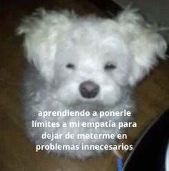 conoloracigarro's tweet photo. https://t.co/kdzi9s6F7T