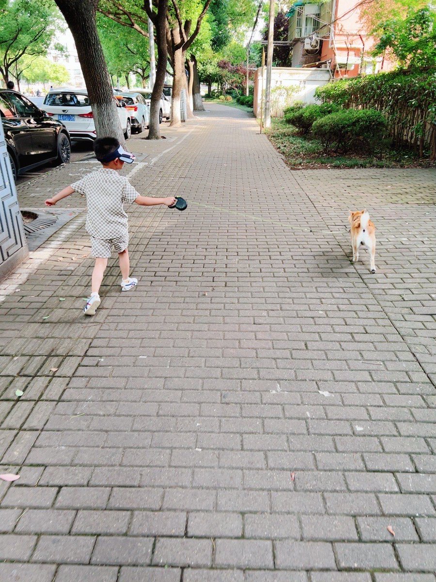 dhinda78778445's tweet photo. Random street snap: A kid on a bike chased by a smiling golden retriever on a sunny afternoon downtown. Such unplanned warm moments hit different! https://t.co/D5eCCPe5iB