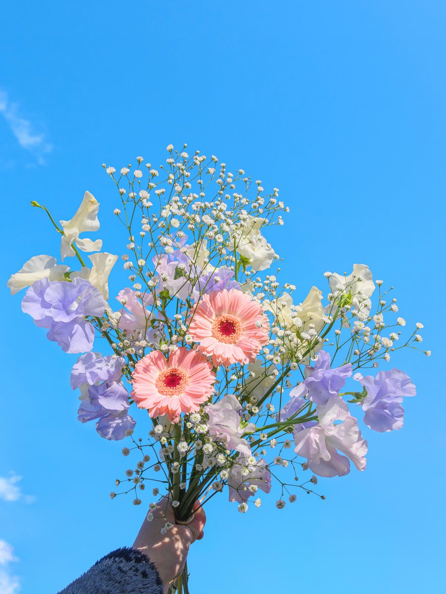 dreamyflowerrs tweet picture