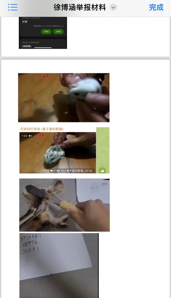 LovcatNMSL_'s tweet photo. 徐博涵在虐猫视频中手写的反共标语和早期群内发言 https://t.co/nKismAzyuj