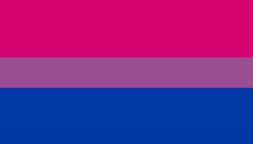 honeeymaroon's tweet photo. dia 23 de setembro aniversário de nós bissexuais uhullll!!! https://t.co/VDZL750CRm