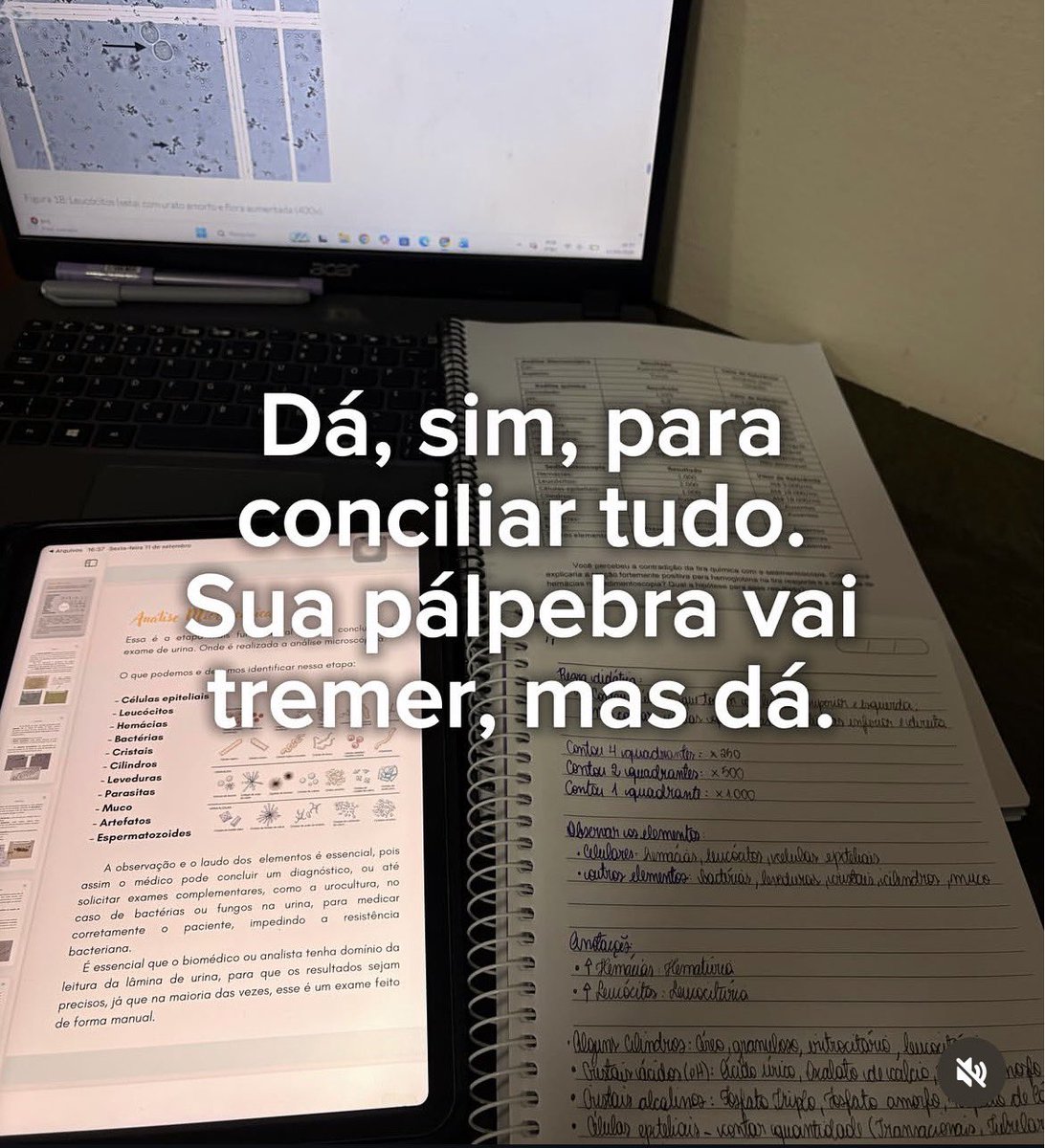 narasf44's tweet photo. então tá https://t.co/8FfoiSZ5vH