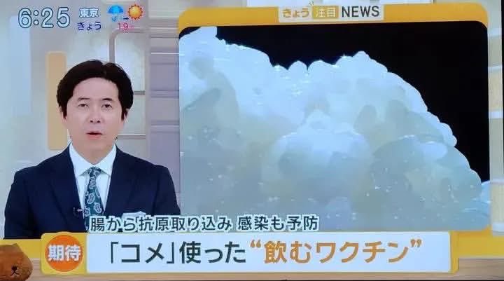 mayuhappy831's tweet photo. コレはヤバい・・・

【お米使った飲むワクチン】

注射💉ではできなかった

・粘膜に誘導
・腸から抗原を取り込み
・遺伝子組み換え(厳重に管理)

ワクチン打つ人間減ったから
次は米を使って殺しにくる気やわ。

外食やコンビニの米は気をつけた方がいいね🙅‍♀️ https://t.co/jwtyodCIK3