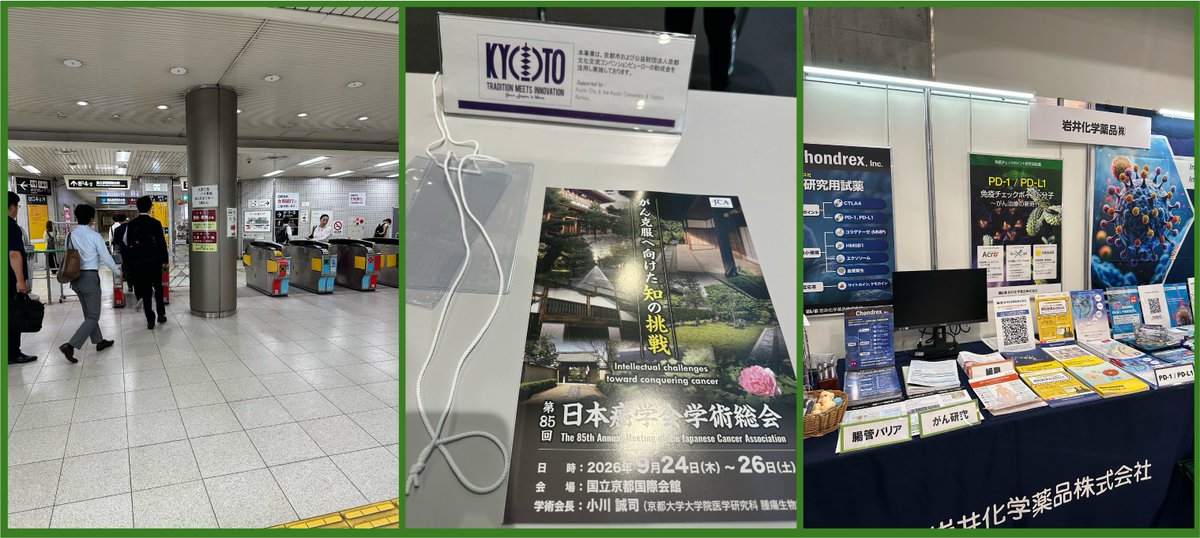 chondrexincjp's tweet photo. 【癌学会SP】今日から3日間、癌学会学術総会の開催です😊!よろしくお願いいたします😆
国際会館���館イベントホール、ポスター会場横の企業展示ブース E-58 でみなさまをお待ちしております。がんと免疫・炎症にご興味のある方、是非お立ち寄りください!
#jca85
#chondrex
#京都 https://t.co/AqfpMGbWqw