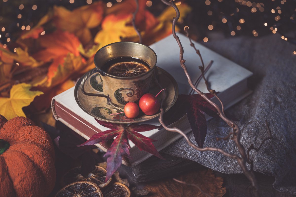 FaithKMoore's tweet photo. 📚👻No spooky season is complete without the perfect book--creepy, but not scary, just right for a night cuddled up by the fire. And I've got just the one! 
Join me on Storytime for Grownups as we read The Phantom of the Opera by Gaston Leroux.🎭
https://t.co/Qfg3guKS7F https://t.co/Y9MBGwZ5ry