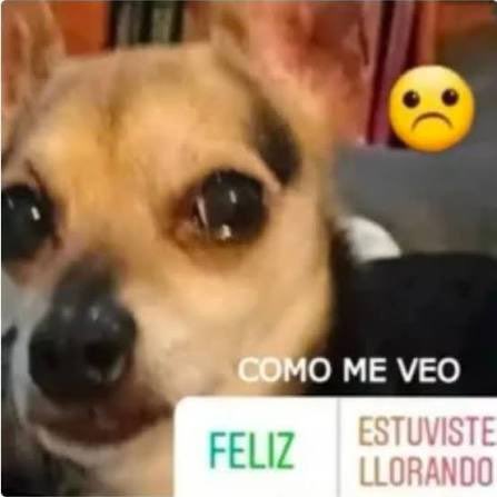 evangelisado's tweet photo. mi castigo me afectó más de lo esperado, o tal vez se me junto todo y estoy sensible… https://t.co/DwT4gopF5j