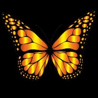 RoyDavis1lps's tweet photo. T rất vui khi báo tin cho ny và nghĩ ny cx thế. Nhưng ny lại ghost t suốt 3 ngày. https://t.co/4MTWXUc6DS