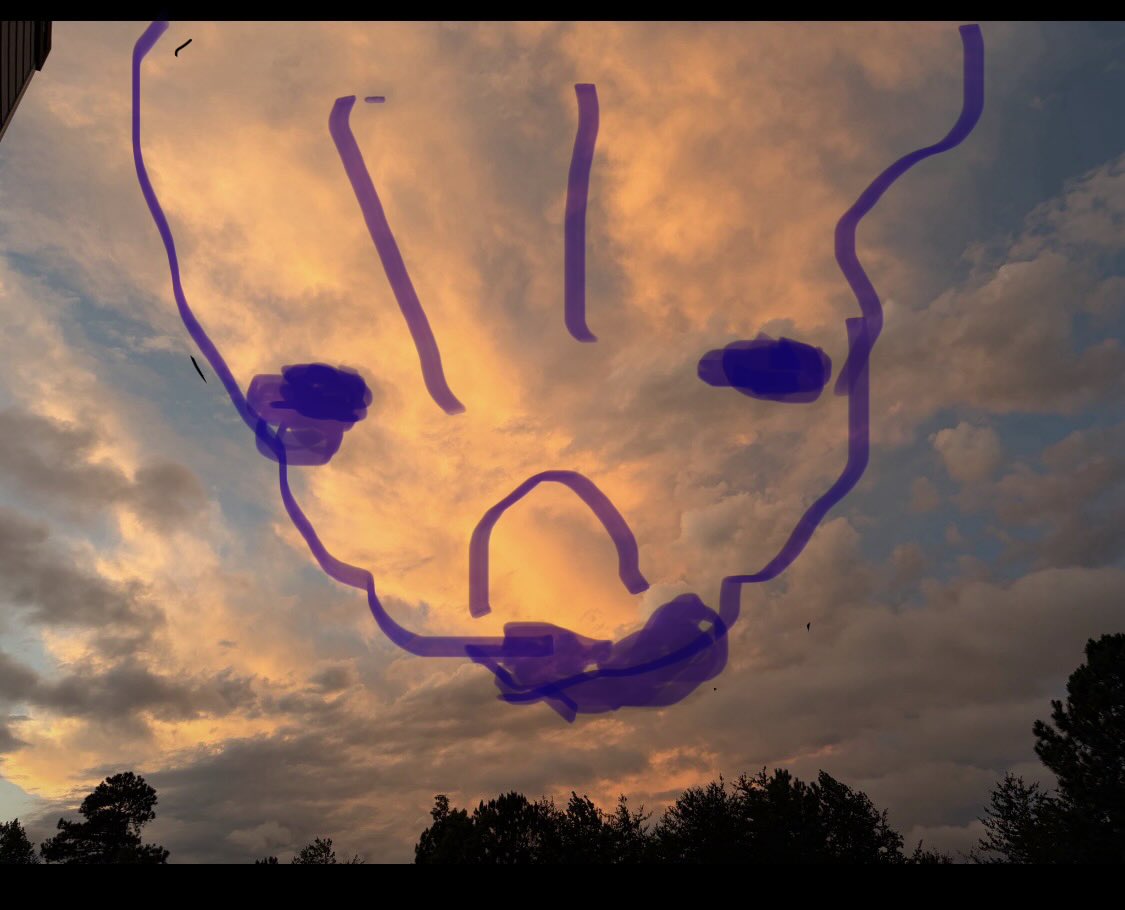 rainibrei's tweet photo. @dianesteeler See the alien/demon? https://t.co/paLVQoOd2v