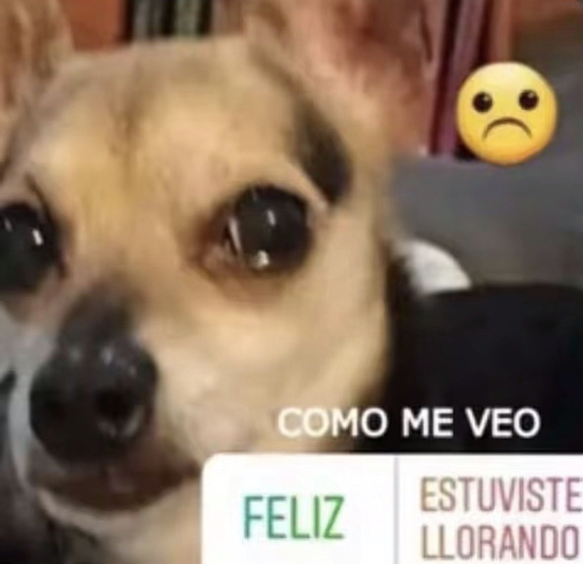 qwlpss's tweet photo. yo siempre wkjdksjs 😓 https://t.co/zqF9MgSSui