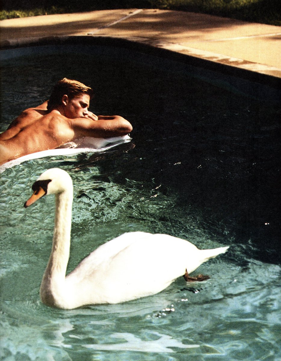 lagunabeachjr's tweet photo. abercrombie &amp; fitch quarterly (spring break 2001) https://t.co/UXga9OwX0v