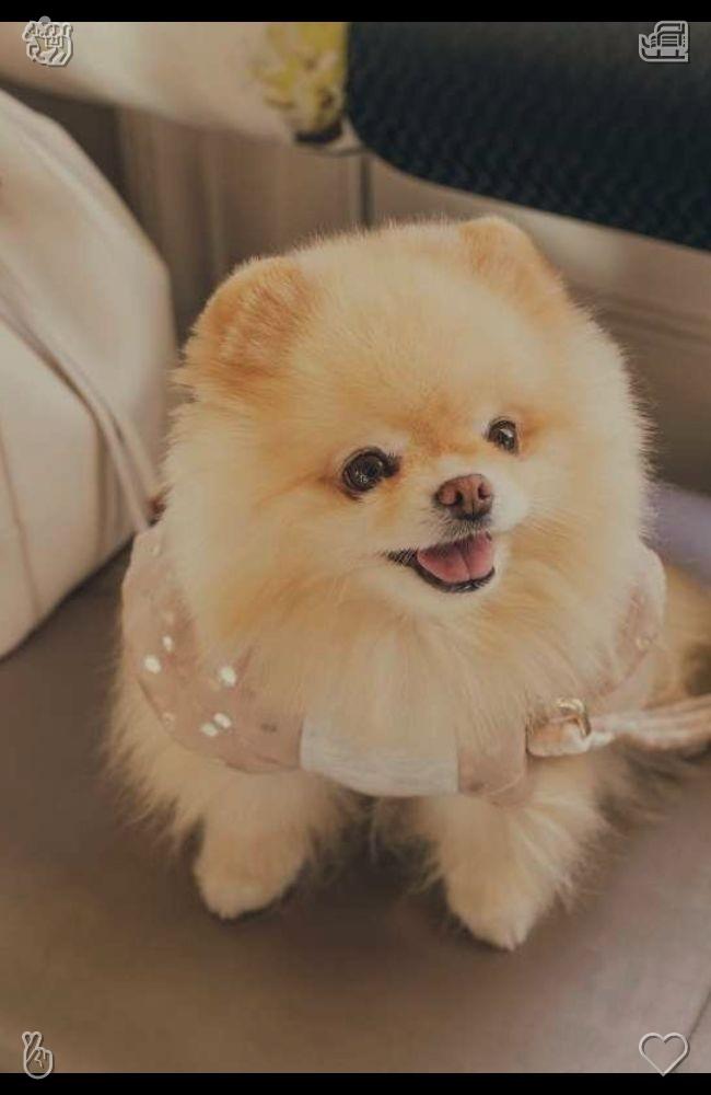 ieyzhsna's tweet photo. Autumn family gatherings are more warm and comfortable with cool weather and pleasant atmosphere suitable for chatting and accompanying.🕹Museum club Discussed paintings https://t.co/LMTJxL2z6Y