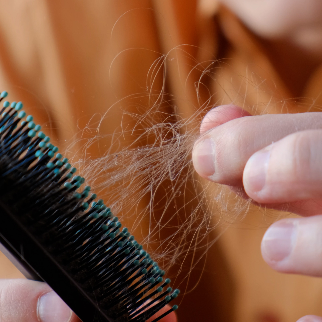 wdam's tweet photo. Today on Aging Untold, the experts reveal some of the causes of hair loss. Learn what to know before you start spending money on quick fixes. Watch tomorrow morning at 6:00 a.m. on FOX Pine Belt.
#Hairloss #Hair #Family #Aging #SeniorCitizen #Senior #Seniors #AgingUntold https://t.co/laHYlmj4ku