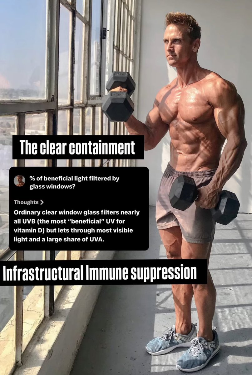 getmorin's tweet photo. #sunlight #vitamind #immune system #circadian https://t.co/WAQSj0aMUi