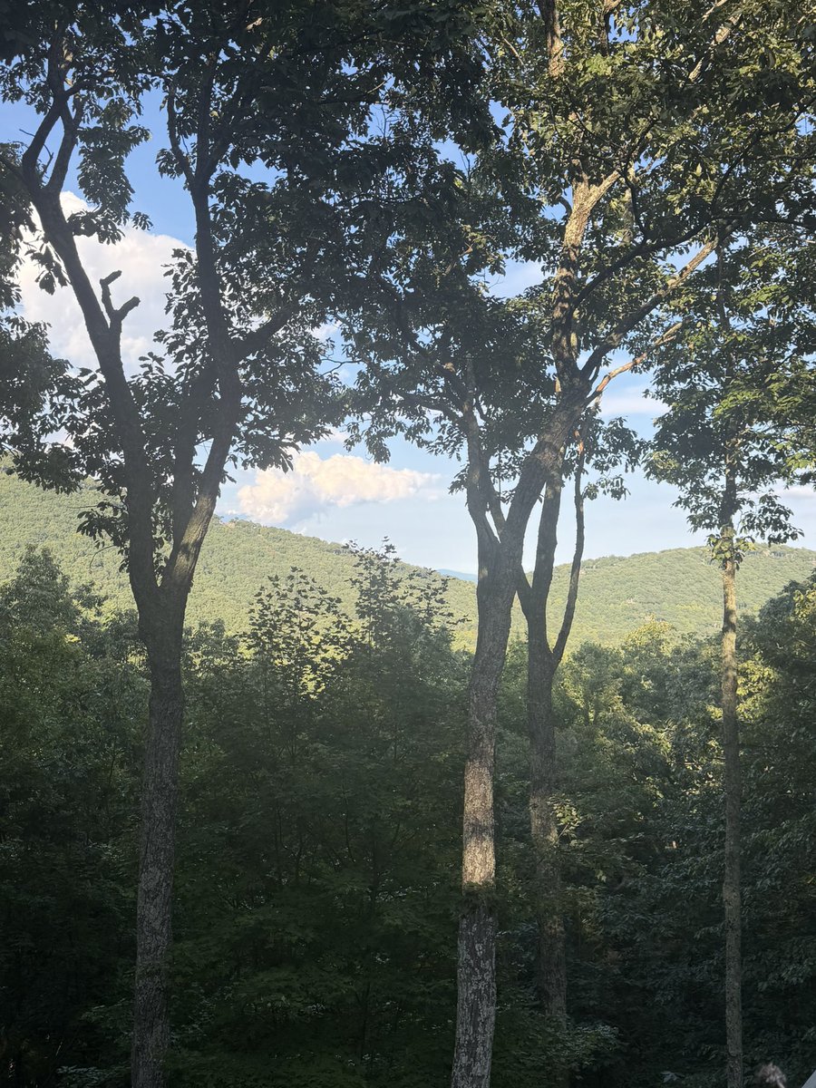 SetonTucker's tweet photo. Big Canoe, GA. So pretty! https://t.co/RhljcDCm3Q