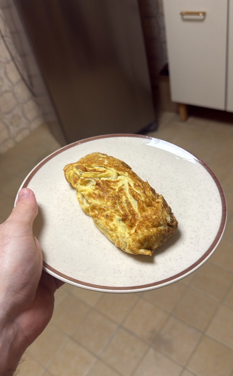 zolpidavidson's tweet photo. Dito isso fiz uma omelete recheada com carne moída pra lanchar (já jantei mais cedo) e ficou bom demais https://t.co/Bkmbjw8E8h