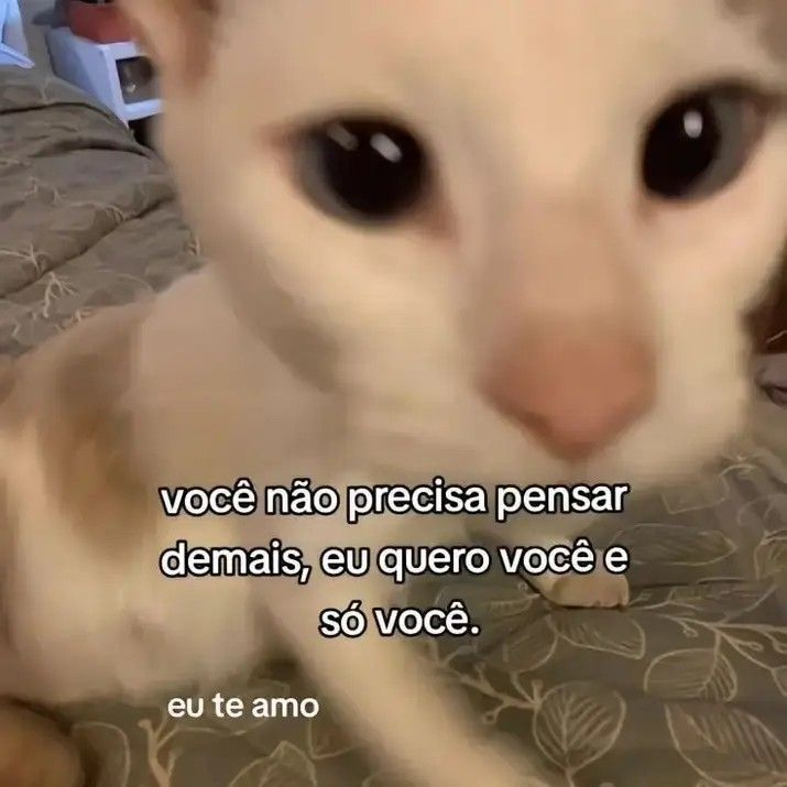 acervobichinho's tweet photo. https://t.co/Iu5vLdfvuQ