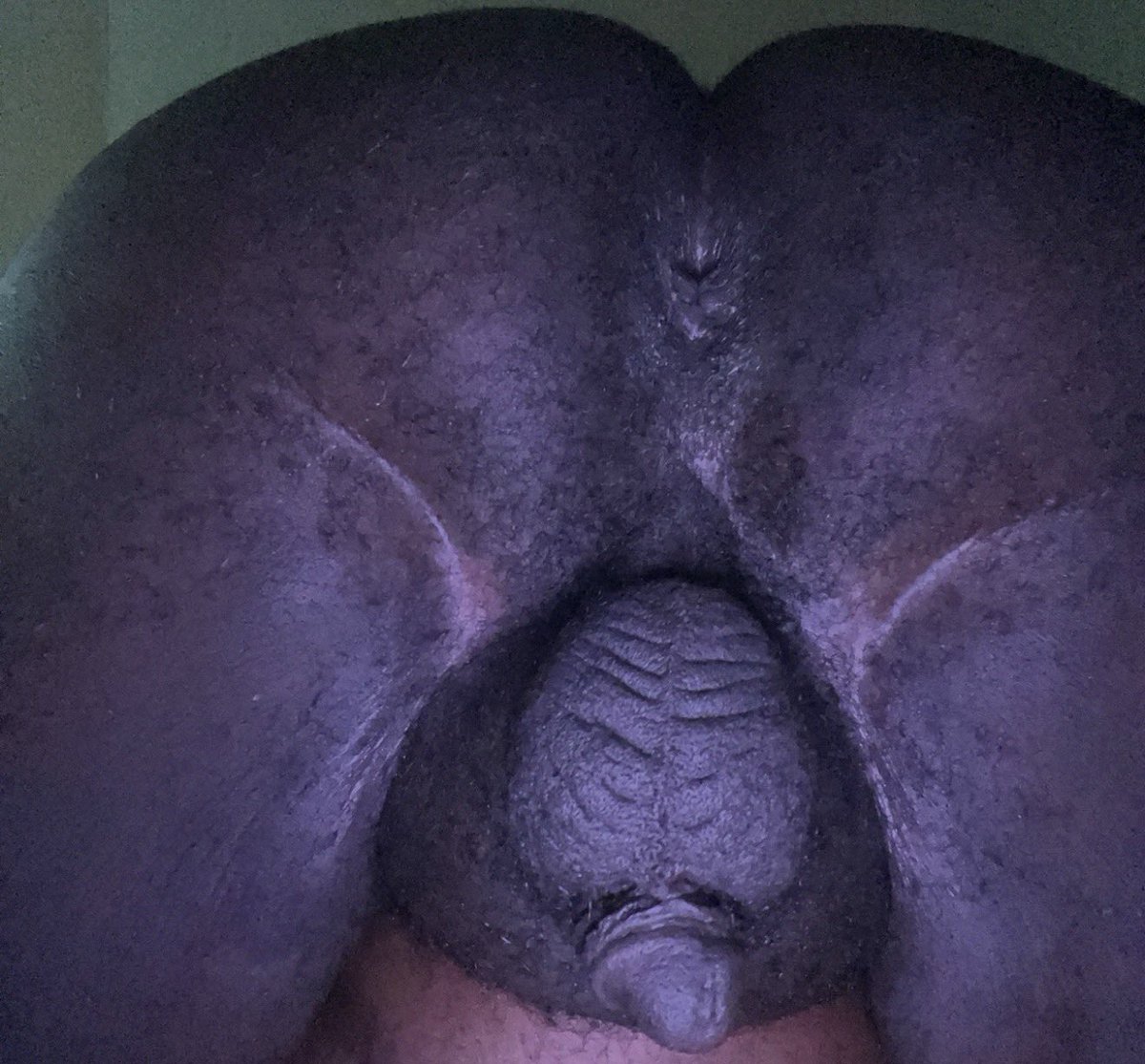 DemLagg's tweet photo. @beefy_guys https://t.co/pngWD7JepA