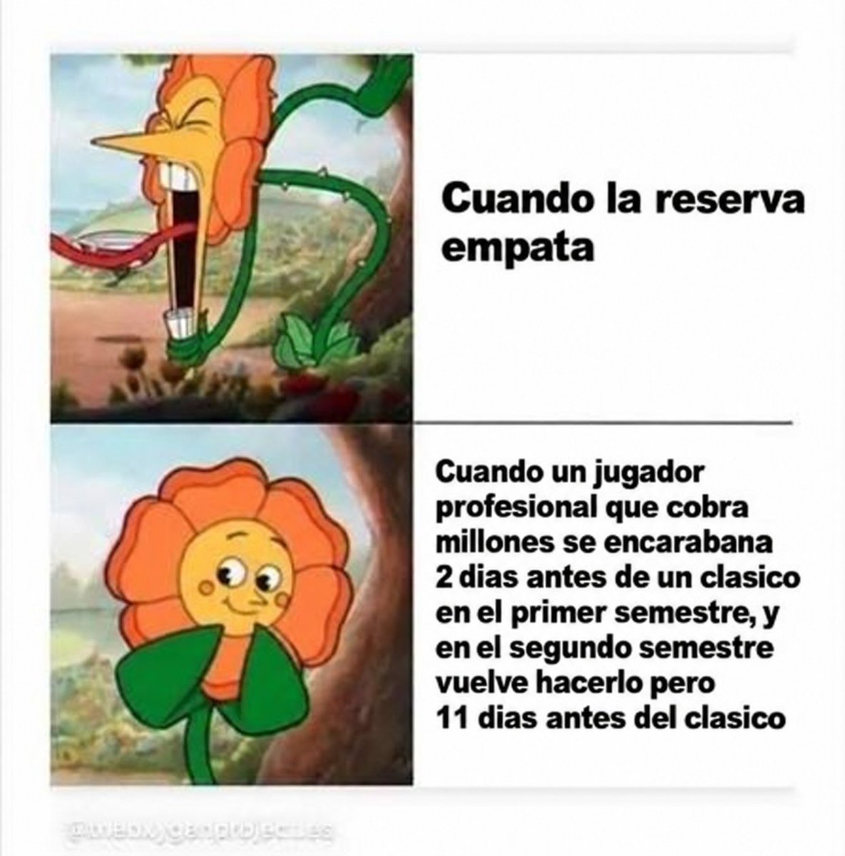 LalibretaCAT's tweet photo. https://t.co/wnYZgqZLCP