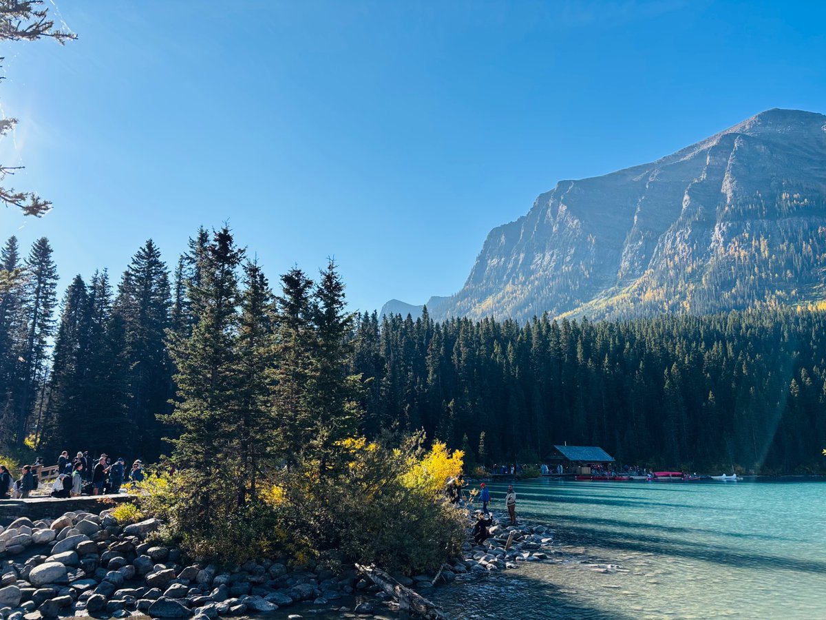 FoxLeung1989's tweet photo. ��イクルイーズはすごく綺麗です。2
Lake Louise was so pretty today.
#連休 
#旅行　
#カナダ好き
#旅行好きな人と繋がりたい https://t.co/B8r75Xvdir