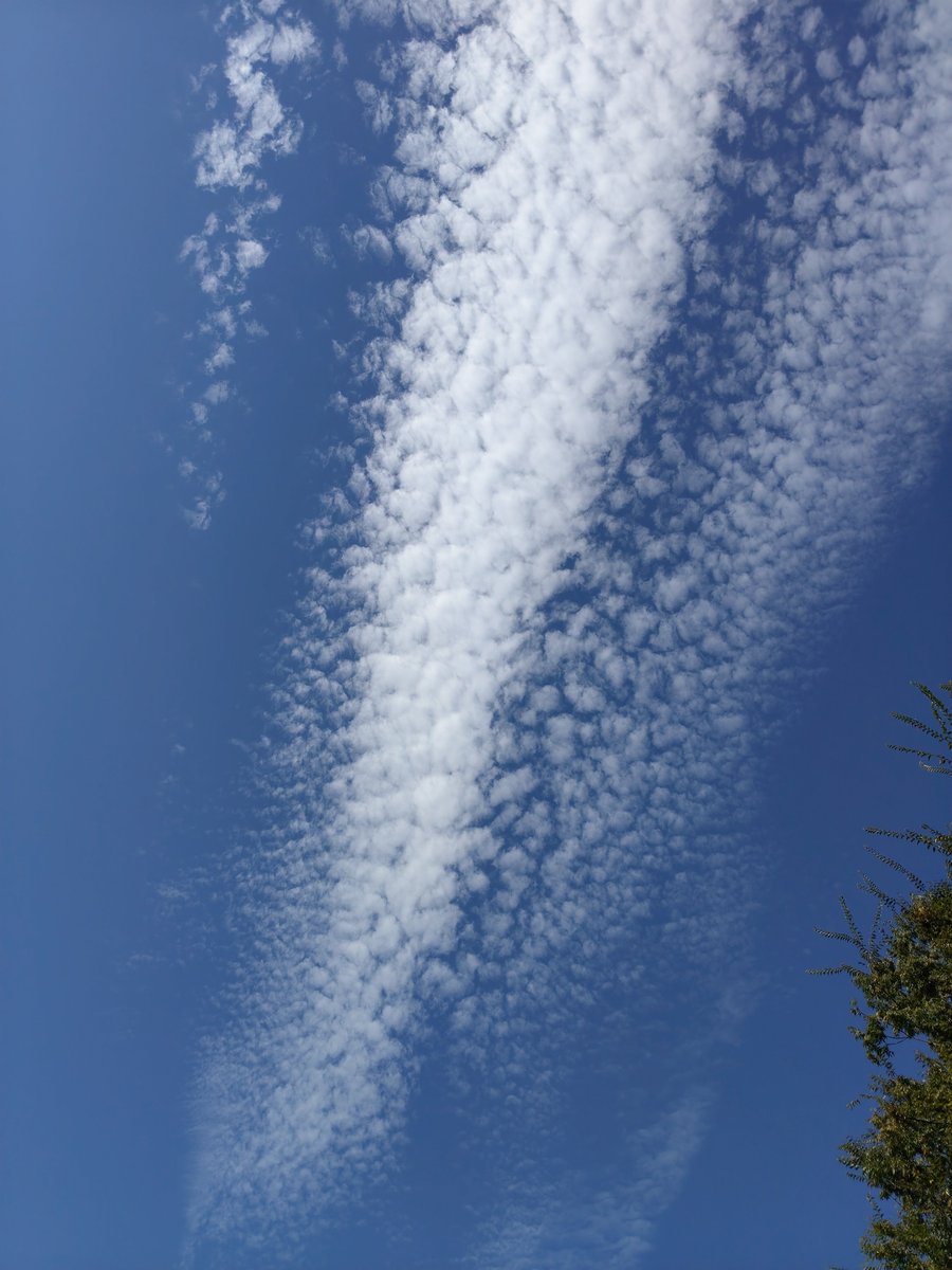 utautau_mono's tweet photo. #イマソラ https://t.co/1fGrpoThp7