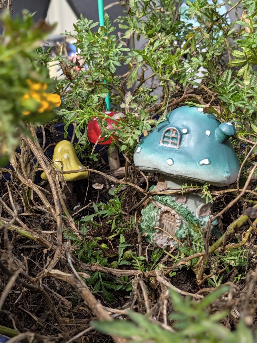 itsjake's tweet photo. Some cool fairy garden photos I took with my kiddo today. We used butter on the lens of my Pixel 11 😭😂 #pixel11 #shotonpixel https://t.co/tSFhrSFyon