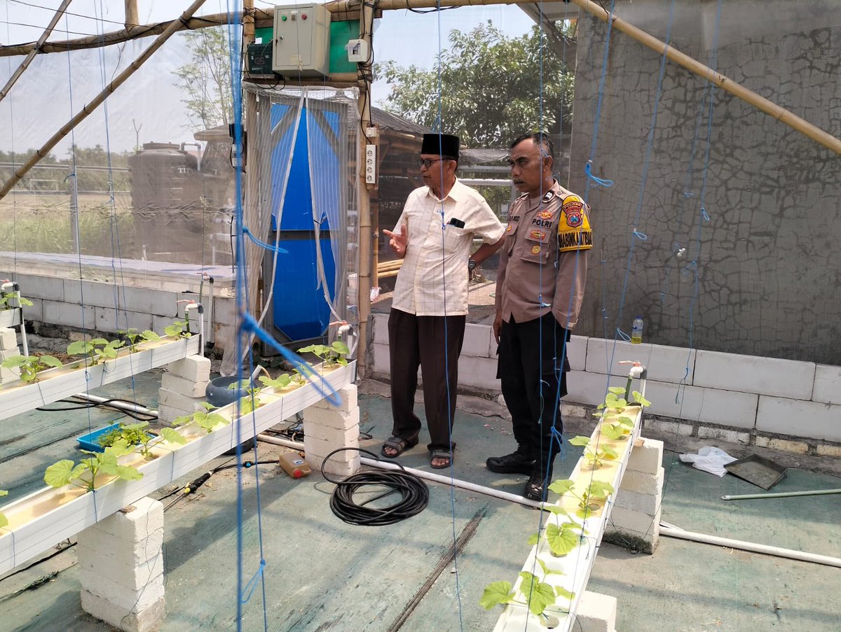 kp3gresik's tweet photo. Anggota Polsek Manyar melaksanakan pengecekan Tanaman melon di Desa. Suci Kec. Manyar Kab.Gresik 

#astacita #swasembadapangan #polisicintapetani https://t.co/BPvonp5xvw