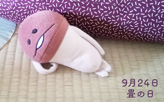 nameko_nnf's tweet photo. んっふ（ちょっと）
んふんふ（横になるか）

んふんふ（そこに畳があるからサ）
#畳の日 https://t.co/TXUo2pC8vM