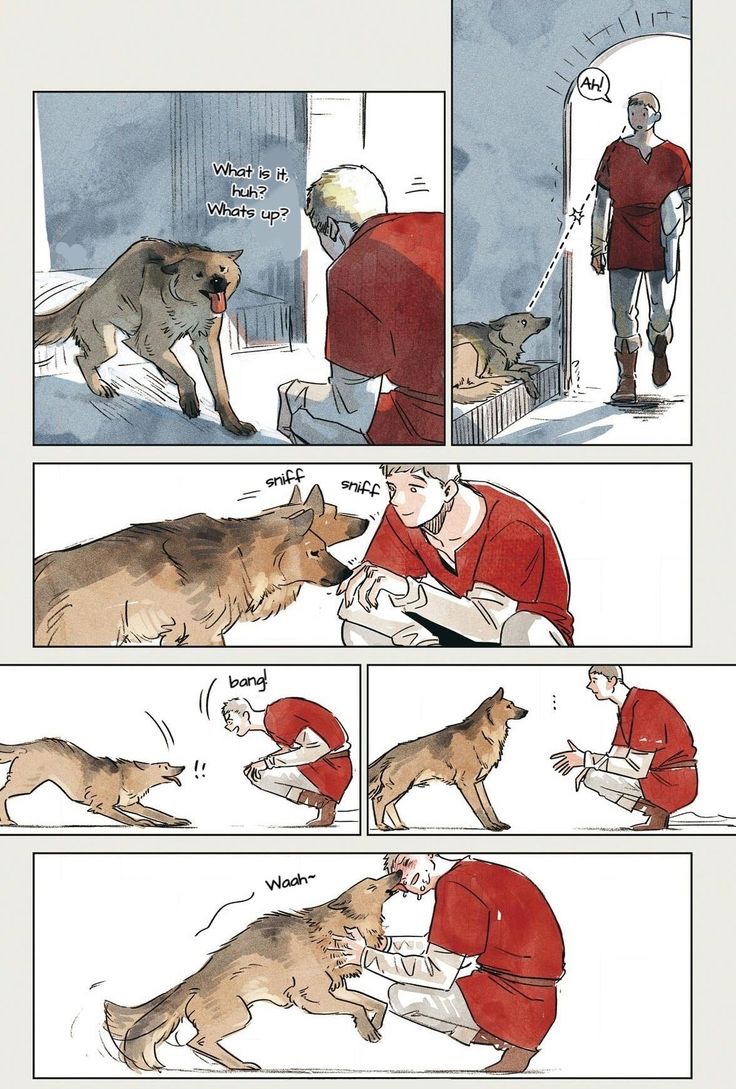 wingedlionfan's tweet photo. just two doggies having fun 🐶 https://t.co/N6bnVNvfRA