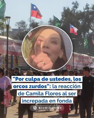 Academica2021's tweet photo. Prohibido olvidar que Camila Flores trata de orcos a los zurdos https://t.co/VwpCcGZbsC