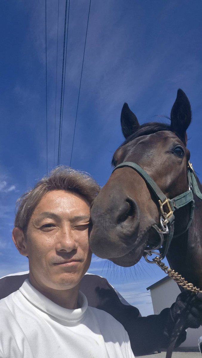 hbl2014's tweet photo. 当オーナーズ10世代目となる、本年1歳の募集馬ラインナップのご案内です！

中央は13頭で、牡馬はオルフェーブル・イスラボニータ・サリオス・フィレンツェファイア・キセキ、牝馬はダノンキングリー・パレスマリス・フィレンツェファイア・コパノリッキー・デクラレーションオブウォー・フィエールマン・タワーオブロンドン・サリオスの産駒で、所属先は美浦5頭・栗東8頭となります。

また地方は3頭で、牡馬はニシケンモノノフ・コパノリッキー、牝馬はダノンスマッシュの産駒で、所属先は全て大井になります。

募集開始は10月中旬以降を予定しておりますので、どうぞ宜しくお願い申し上げます🙇‍♂️

※写真は高橋康之調教師とチャチャリーノ2025(使用許可もらってます…笑)
#競馬