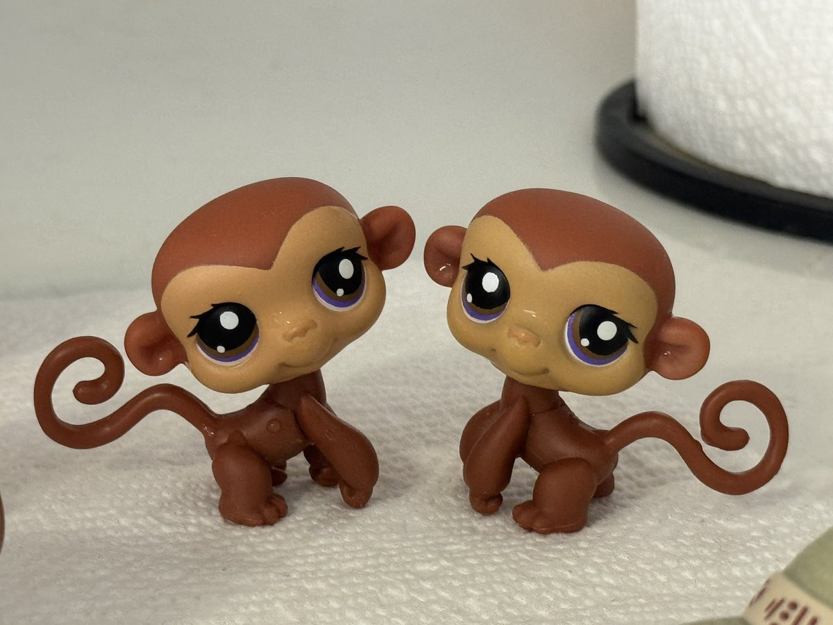 celestialxdollz's tweet photo. us if we were both little monkeys https://t.co/5HzDQUZPAv