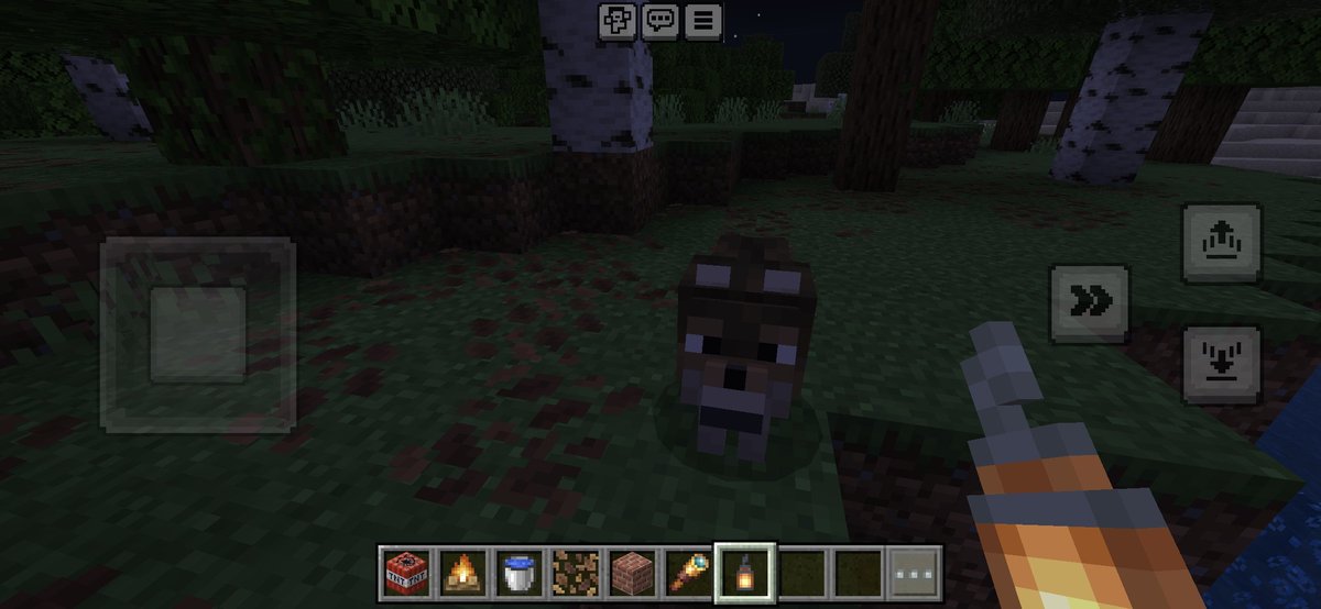 kkttcat tweet picture