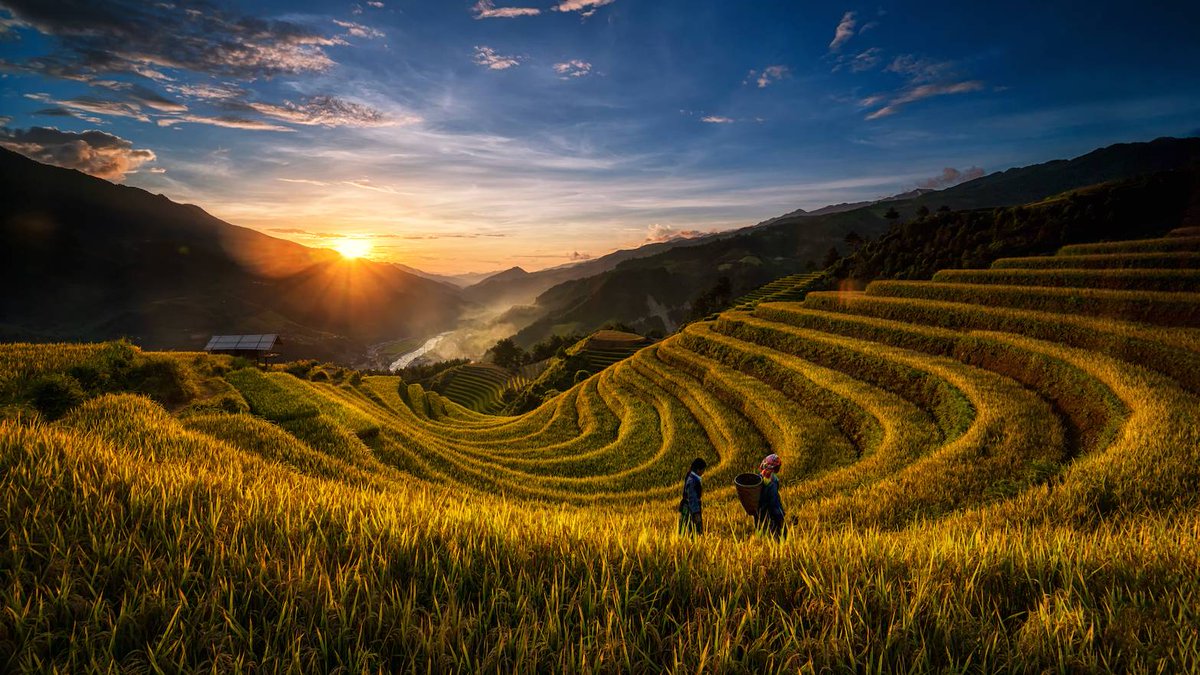 CrawfordFund's tweet photo. 📈 Food demand is rising. 
📉 Productivity growth is slowing.

Our CEO @ShaunCoffey looks at why research investment today will shape food availability, prices and resilience in the decades ahead.

👉 https://t.co/Y0fbPXyOhq

#AgR4D @IFPRI @CGIAR @ACIARAustralia https://t.co/GTT6fwpFYn