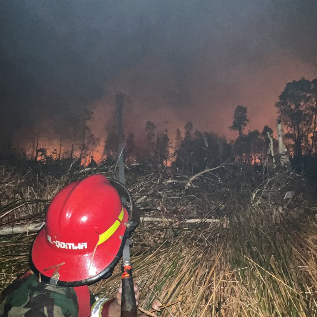 simpenangadunnn's tweet photo. ⚠️😷Jangan BOSAN HARUS TERUS BERISIK BERSUARA UTK KALIMANTAN SIAPA LAGI KALO GA KITA Sendiri YG PEDULI tanah kelahiran kita DIBAKAR  GUYS INGAT DIBAKAR..
Dokumentasi Masih dilaporan Kejadian Kebakaran Hutan dan Lahan tadi malam. https://t.co/FROhFPpqtk