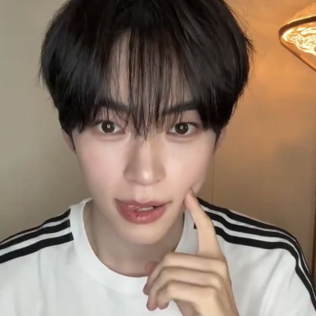 quinoa0000's tweet photo. 추석에 송편 막 집어드시면 안됩니다
송편처럼 생긴 성한빈일수도 있으니까
하나하나 먹을 때마다 확인하고 먹어야해요 https://t.co/bHZybTUEWO