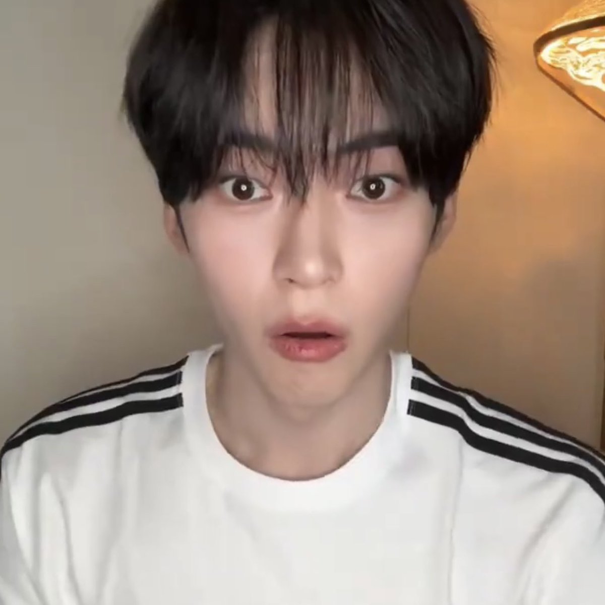 quinoa0000's tweet photo. 추석에 송편 막 집어드시면 안됩니다
송편처럼 생긴 성한빈일수도 있으니까
하나하나 먹을 때마다 확인하고 먹어야해요 https://t.co/bHZybTUEWO
