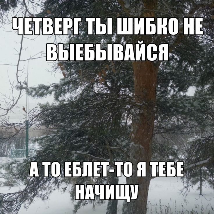 kviio_0's tweet photo. Скачать твиттер было лучшим решением за последнее время. Прочитав все ответы на мои посты и коммы я стала меньше ненавидить этот день, спс https://t.co/Be6u3wjMYd