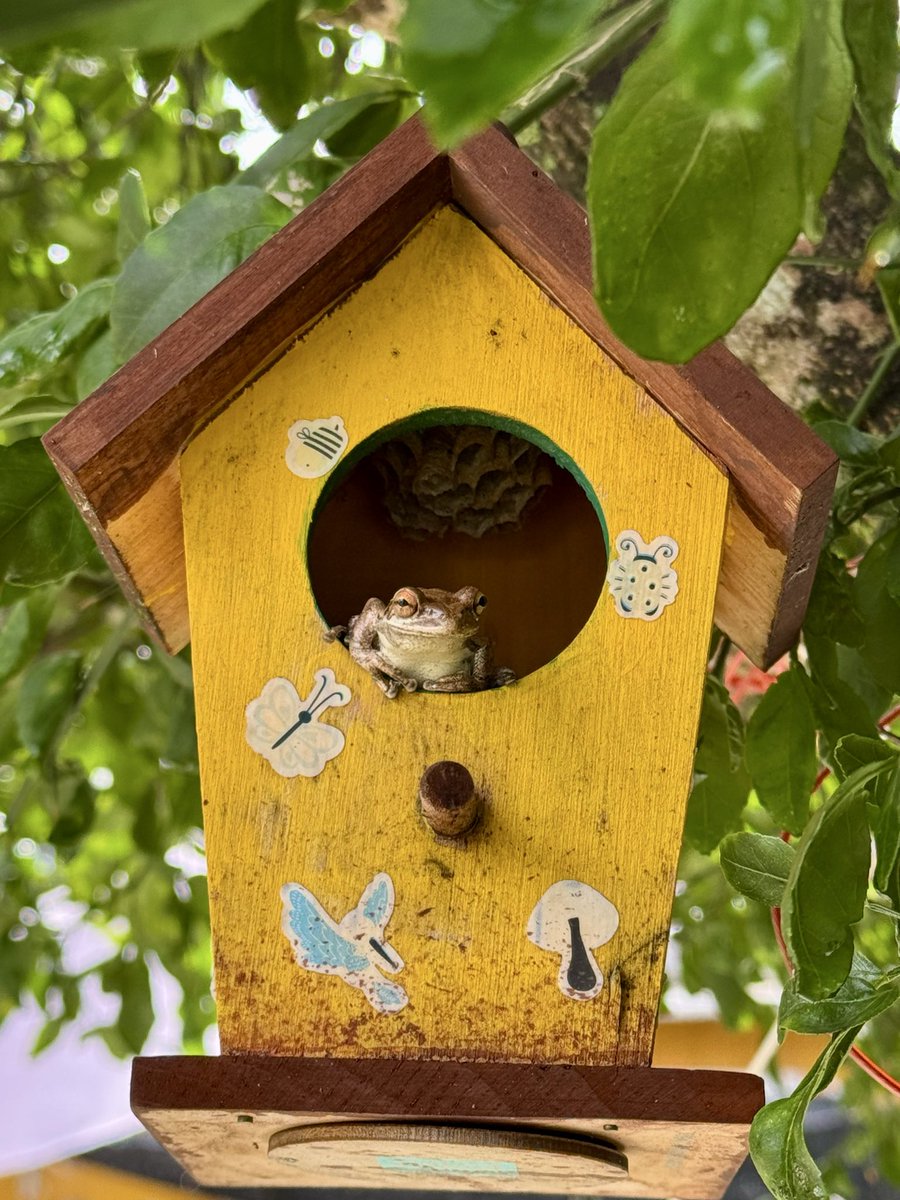 dolbyl's tweet photo. "So much of life, it seems to me, is determined by pure randomness." — Sidney Poitier #optoutside #getoutside #lovefl https://t.co/RMQVxbwz5w