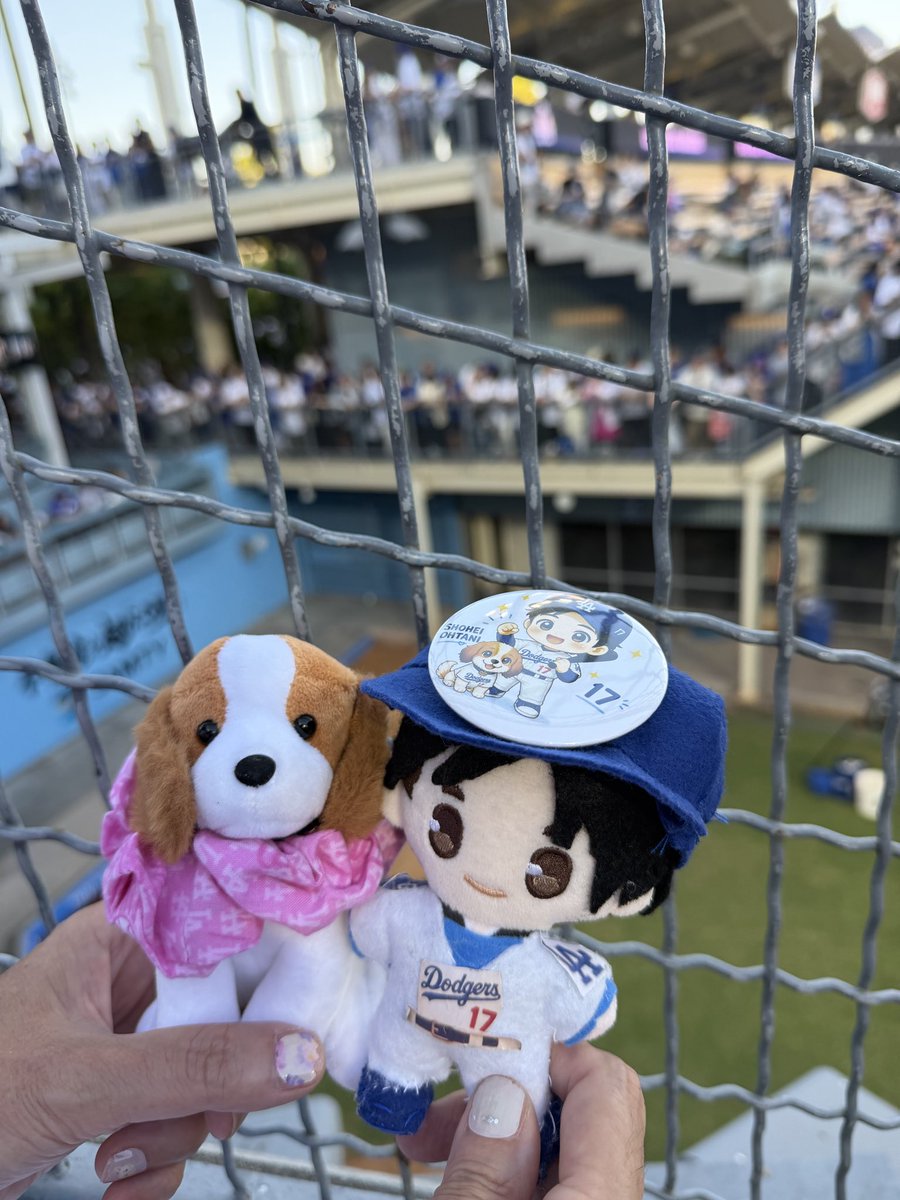 yonkoan13's tweet photo. 今日はこの席^_^
ブルペンの真横です😊💕😍
生由伸君を間近で見れるよー
＼(^o^)／🙌 https://t.co/faivz9PtUF