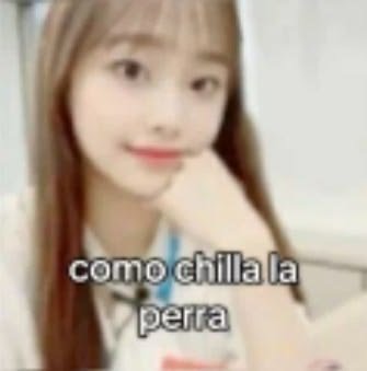 zeaqkl's tweet photo. me da demasiado fomo que la gente si tenga mutis aquí y yo no

sálganse de x estoy triste https://t.co/pTQ55pQrVC