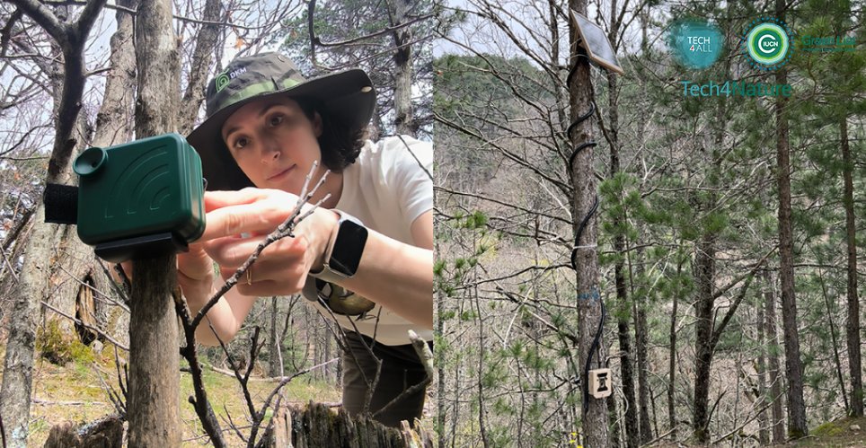 HUAWEI_TECH4ALL's tweet photo. Tech4Nature Turkiye: Kazdağı National Park

Bioacoustic recorders, meteorological stations &amp; solar-powered camera traps  are providing insights for boosting conservation management. Click the image to learn more &amp; stay tuned to see what species we find!

@IUCN @dkm_dogakoruma