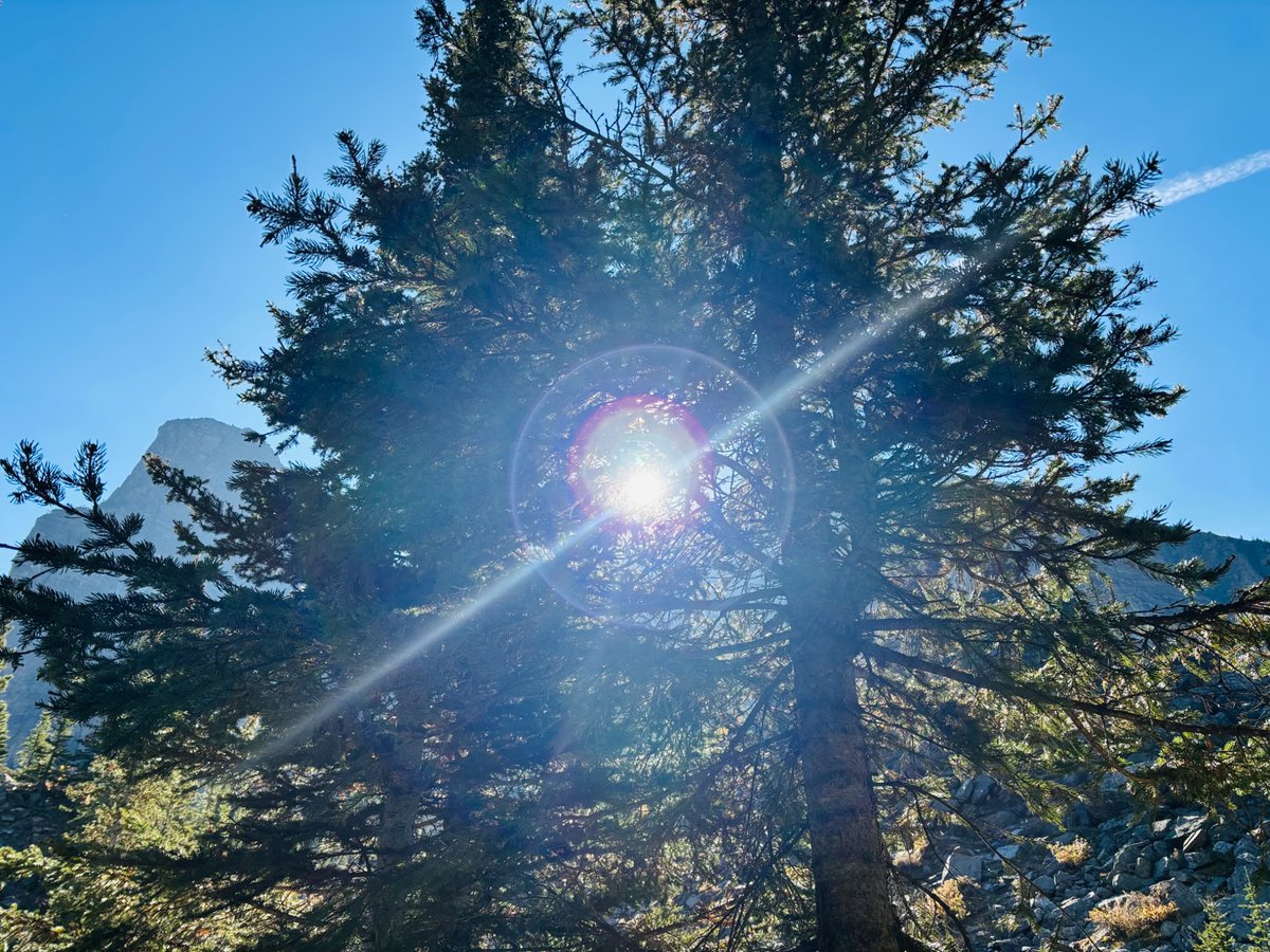 FoxLeung1989's tweet photo. モレーンレイクの青、やっぱり吸い込まれそうなきれいさでした。
Moraine Lake’s blue hits different, as always.
#連休 
#旅行　
#カナダ好き
#旅行好��な人と繋がりたい https://t.co/BamzQJX4nC