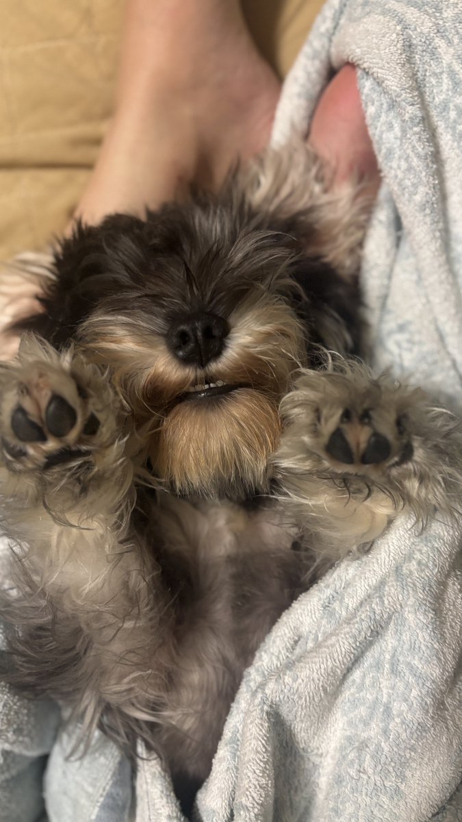 aegipepe's tweet photo. 눙 https://t.co/plc2x3jrqC