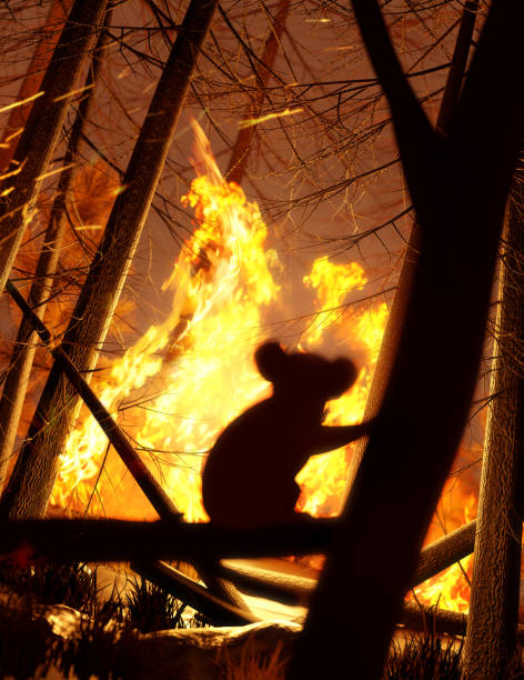 viltzmdel's tweet photo. 森リラックス猫🌲🐱 https://t.co/wW4ih3rmxN
