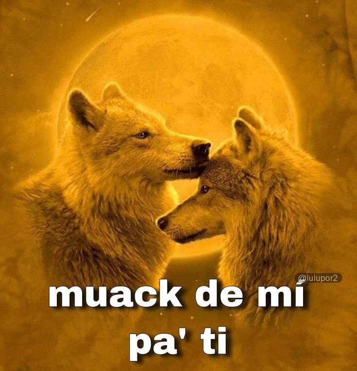 Nabet00's tweet photo. @woniemisol Pienso que desde que apareciste en mi fyp tweeter se volvió más especial, eres tan divertida y amena que haces que mi experiencia sea genial. te quiero mi omegita 😘 https://t.co/mxGQmdYAQY
