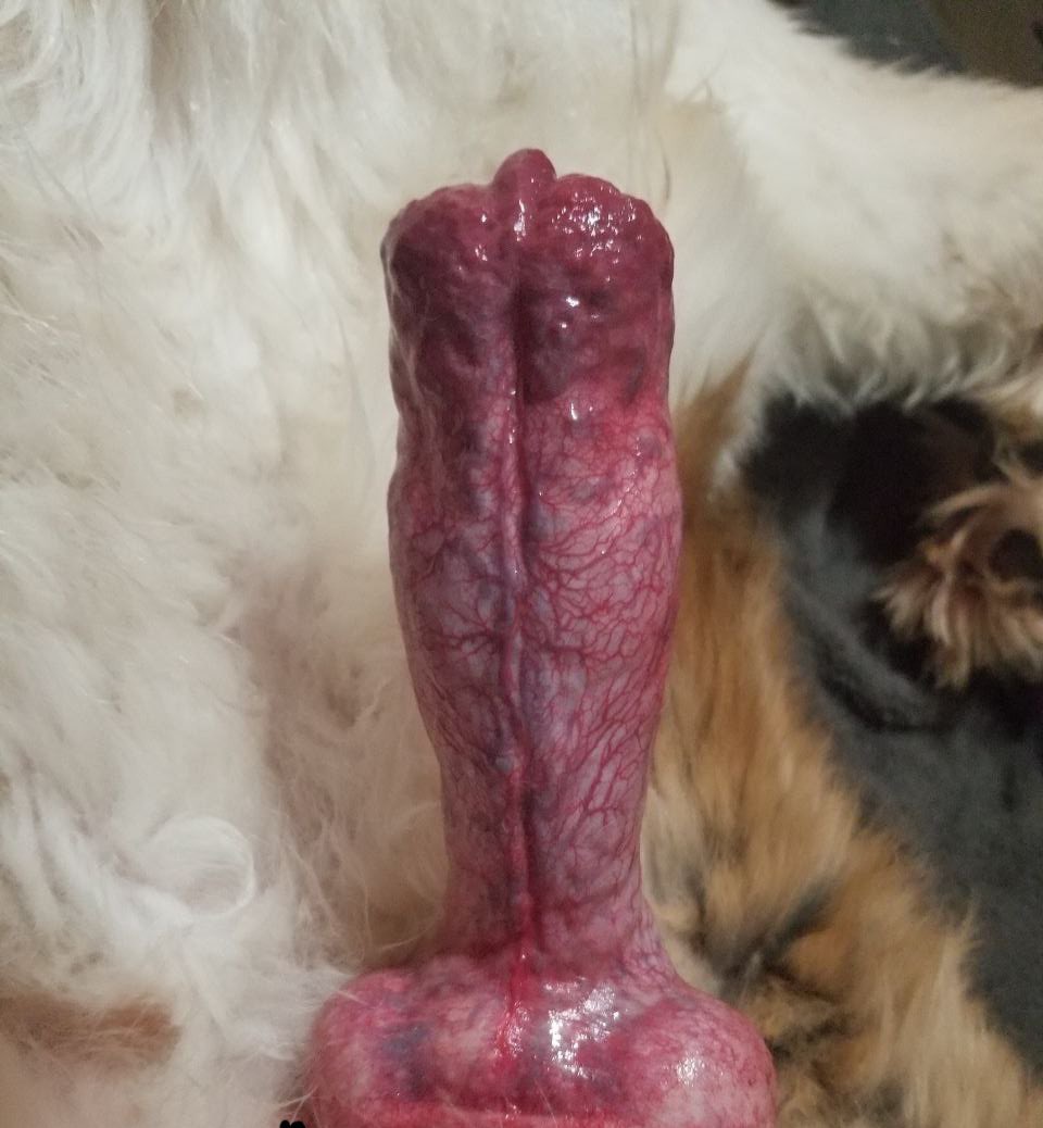 pervertxghq's tweet photo. Hey help LIKE AND REPOST/RETWEET.
TRUE DOG FANS ONLY❤️❤️🐶🐾🐾 https://t.co/J1UMX1QQpm